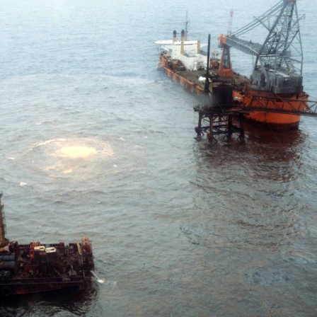 Ölkastastrophe im Golf von Mexiko