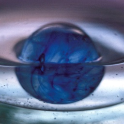 Wassermurmel im Wasser