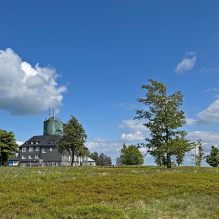 Wanderung auf dem Kahlen Asten Steig