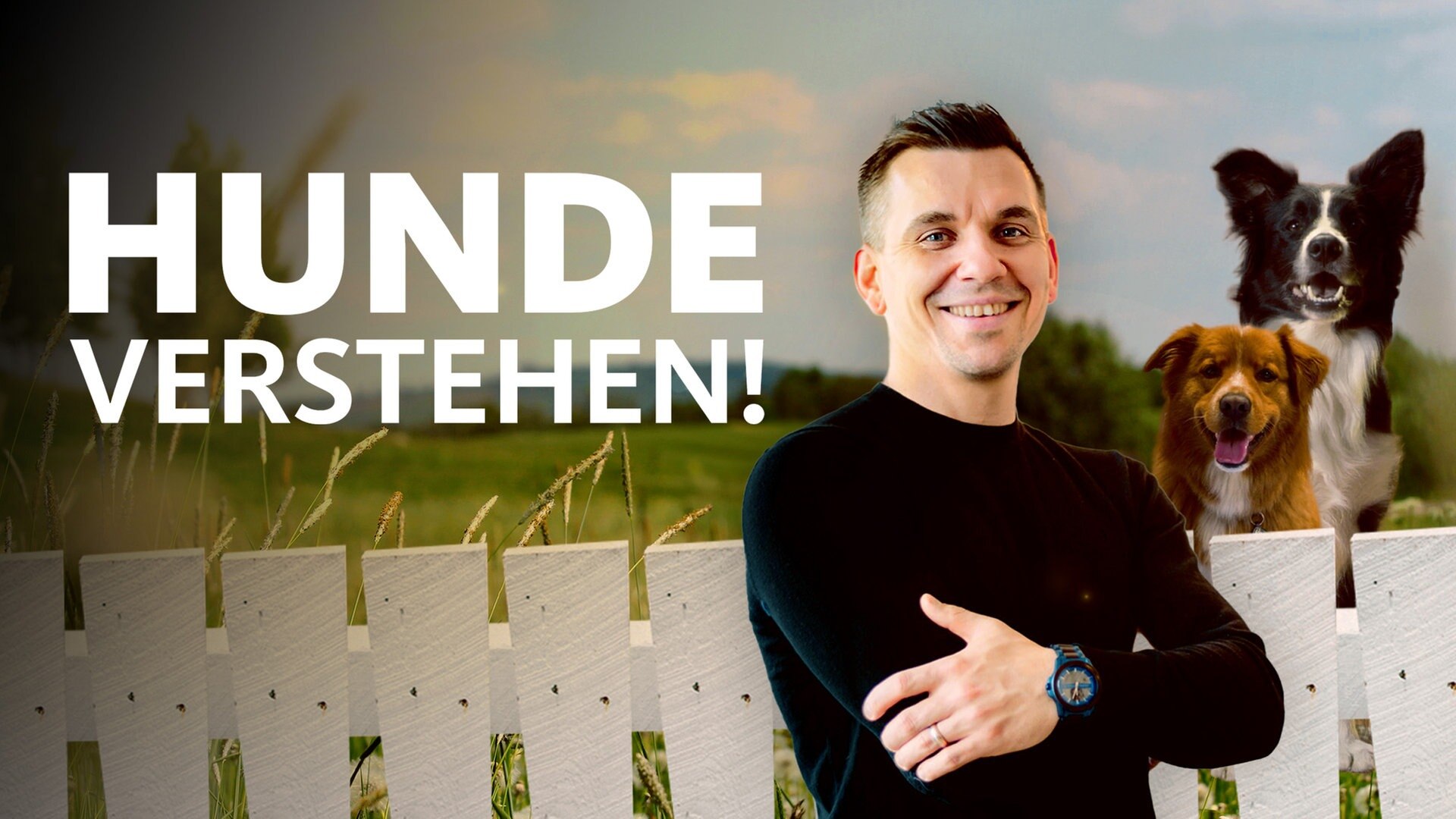 Hunde verstehen! - Videos der Sendung | ARD Mediathek