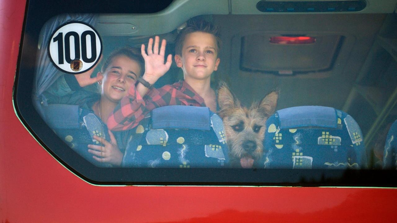 Racko Ein Hund für alle Fälle Folge 8 Ein guter Plan (S01/E08