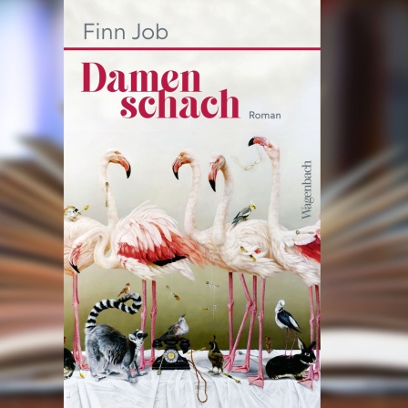 Buchcover: "Damenschach" von Finn Job