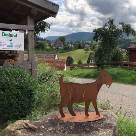 Schwarzwald (Bild: ARD/Astrid Kretschmer) 