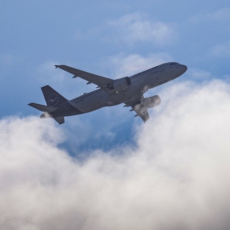 Ein Airbus A320 der Lufthansa fliegt über den Wolken. Die Flugbereitschaft abzuschaffen und für Politiker-Reisen Linienflugzeuge zu nutzen, wäre eine Herausforderung für Sicherheit und Organisation.