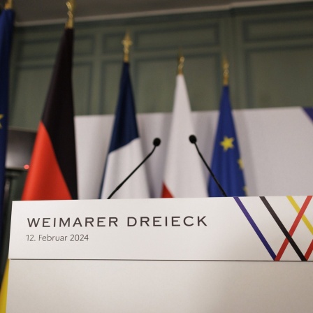 Pressekonferenz im Rahmen des Treffen des Weimarer Dreiecks