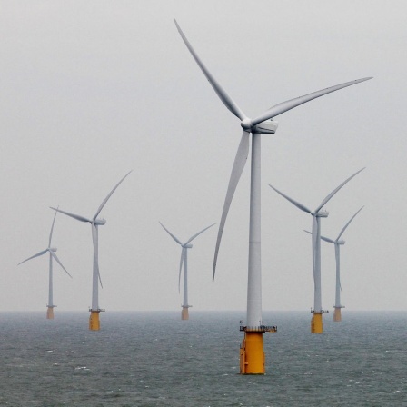Ein Offshore-Windpark im Meer