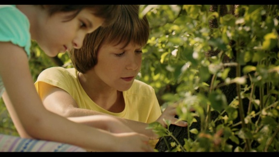 Kinderfilme Und Kinderdokus - Rettet Unseren Baum!