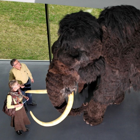 Besucher betrachten das Modell eines Mammuts in einer Ausstellung