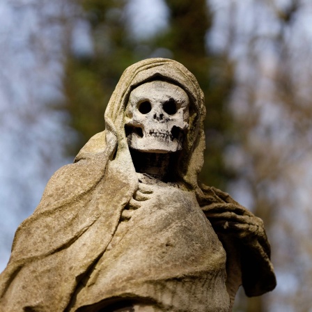 Grabmal auf dem Melaten-Friedhof, Verhülltes Skelett