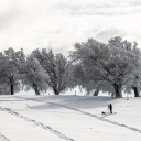 Ein Fotograf steht auf einer verschneiten Wiese vor ebenso verschneiten Bäumen.