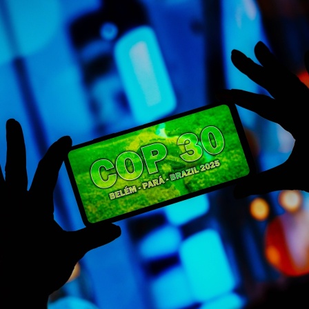 COP30