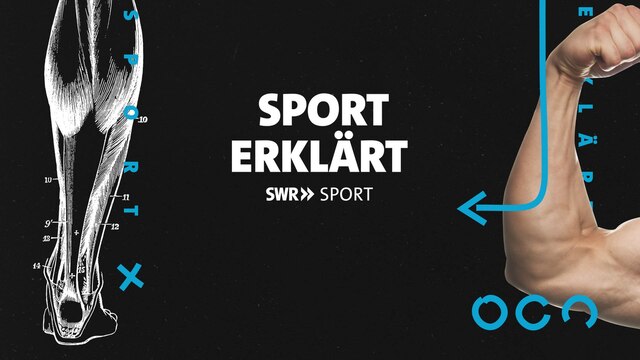 Logo Sport erklärt