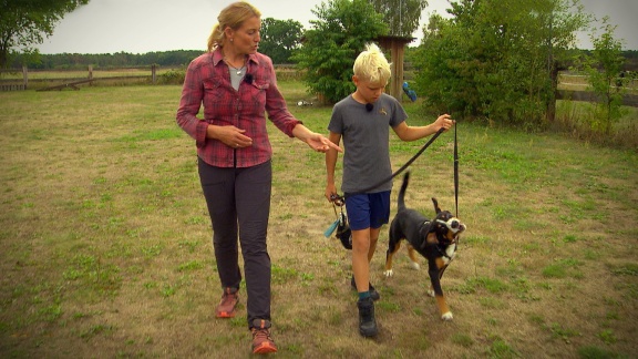 Liebste Fellnasen - Abenteuer Hundeschule (6)