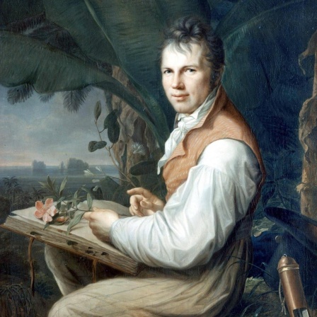 Ein Gemälde von Alexander von Humboldt in Venezuela, er hält eine Pflanze in der Hand über einem Buch.