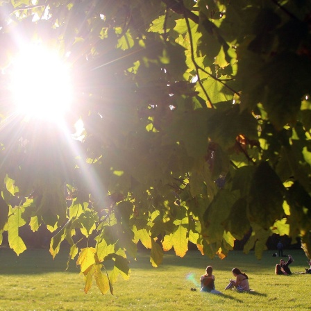 Personen liegen auf einer Liegewiese im Englischen Garten und genießen das schöne Herbstwetter.
