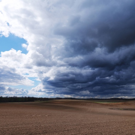 Dunkle Wolken über der Uckermark: Woraus bestehen Wolken?