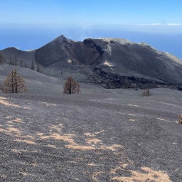 Am 19. September 2021 hat ein Vulkanausbruch Teile der Insel zerstört. Ein Jahr später ist die Erde noch schwarz und Bäume sind verkohlt.