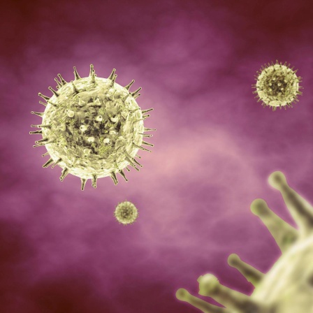 Die Erforschung des Grippevirus - Jagd auf ein Phantom