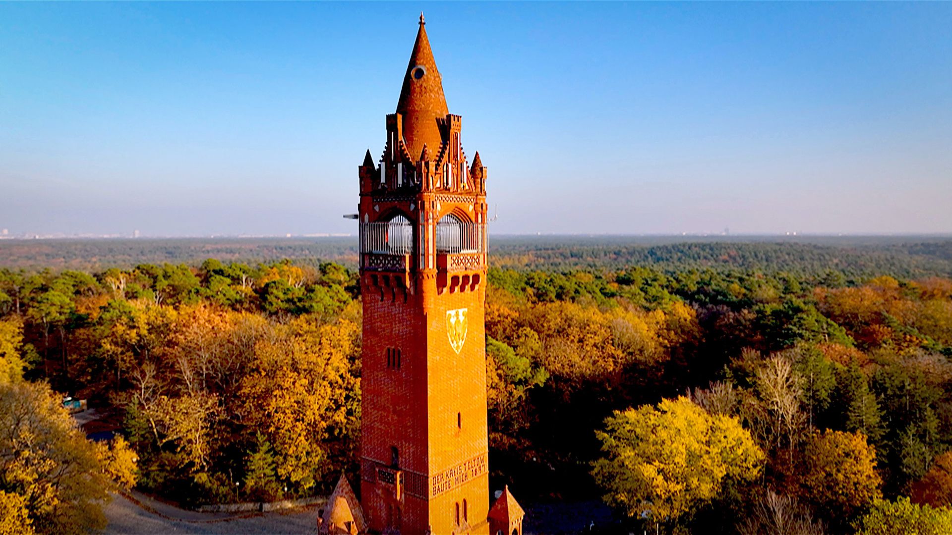 Dokumentation und Reportage Der Grunewald · Ein Jahr unter Bäumen