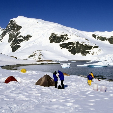 Die Zelte eines Forschungsteams am schneebedeckten Ufer der Antarktis