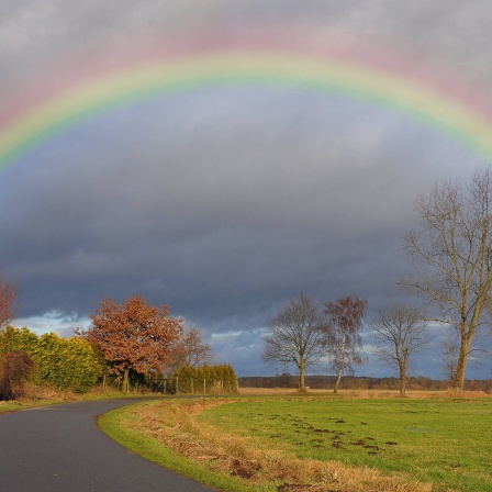 Regenbogen
