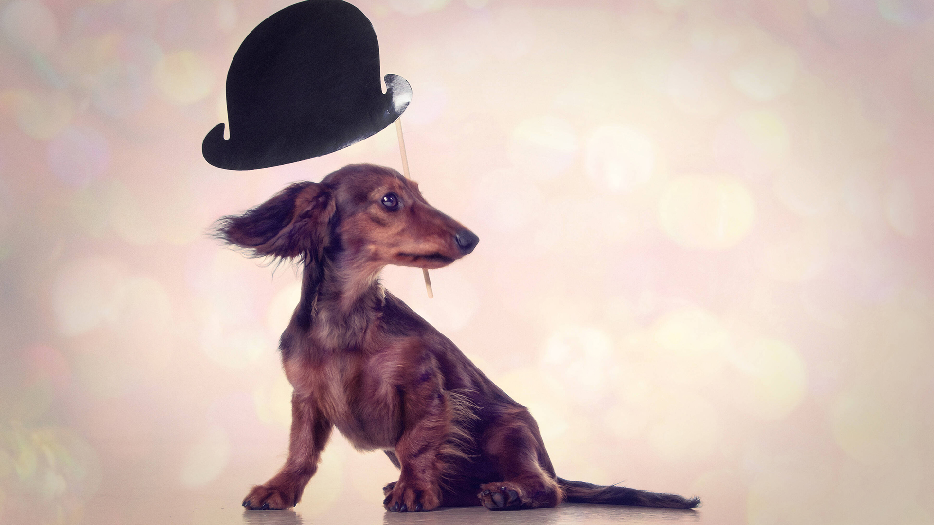 hr2 Hörspiel-Stream