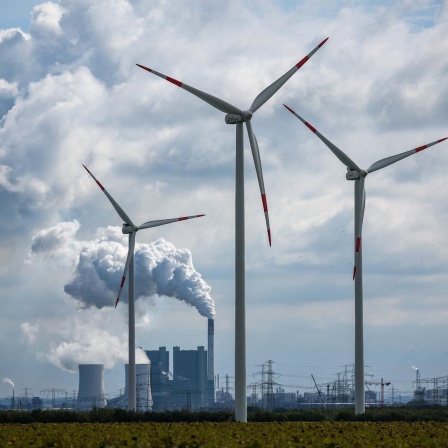 Windräder drehen sich vor der Kulisse des Braunkohlekraftwerks Schkopau westlich von Halle (Saale).