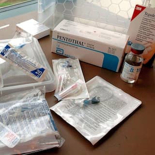 Euthanasie-Set