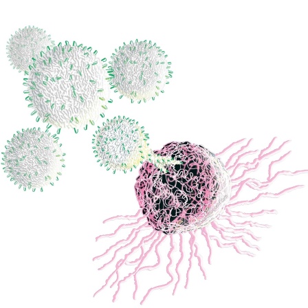 Tumorbehandlung mit Car-T-Zellen