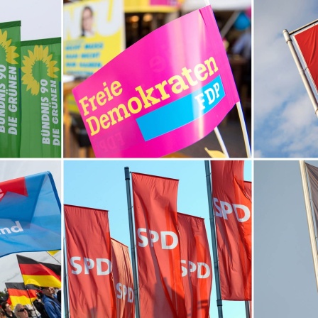 Fahnen der Parteien Bündnis 90/Die Grünen, FDP, Die Linke, AfD, SPD und CDU