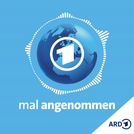 Nur noch Erneuerbare Energien? Was dann?