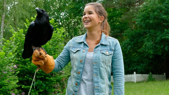 Anna, Paula, Pia Und Die Wilden Tiere - Klug Wie Ein Rabe