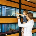 Mann und Kind schauen gemeinsam auf ein Aquarium voller Fische. 