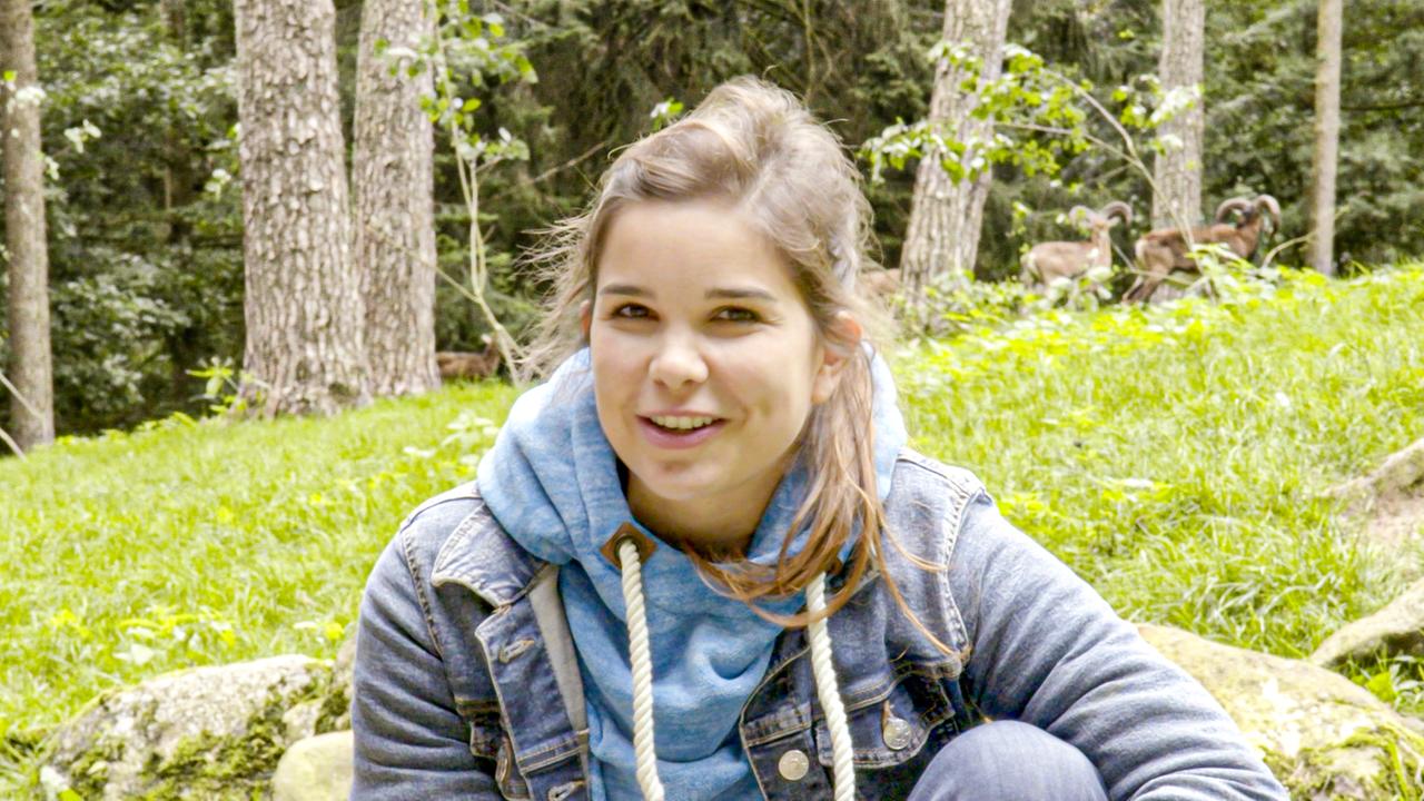 Anna, Pia, Paula und ihre wilde Welt Anna und die wilden Tiere Es müffelt nach Mufflon ARD