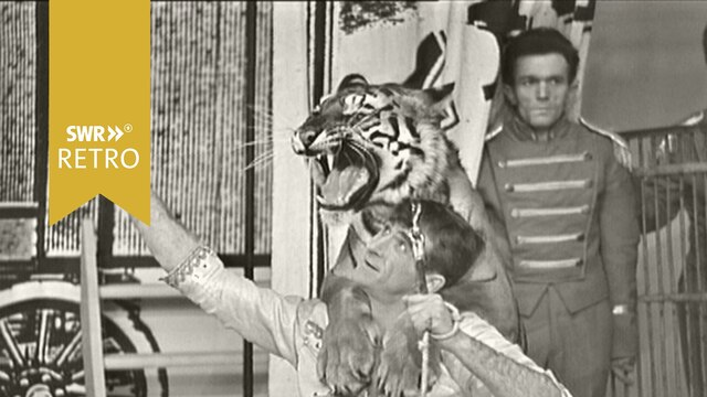 Tiger Show im Zirkus Dahl.