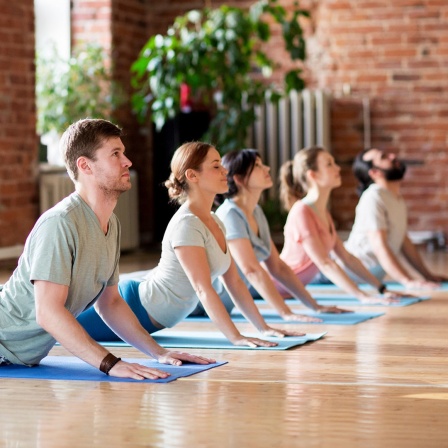 Drei Frauen und zwei Mann in der Cobra-Pose während einer Yogastunde