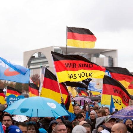 Deutschlandflaggen mit dem Slogan "Wir sind das Volk" auf einer AfD-Demo in Berlin.