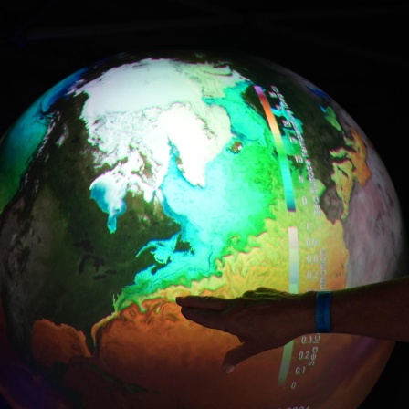 Golfstrom - Wann bricht er zusammen? | Klimaschutz im Operationssaal (185)