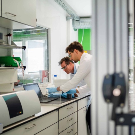Symbolbild: Zwei Wissenschaftler arbeiten in einem Labor