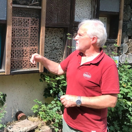 Mona Gharib, Umweltreferentin in der hannoverschen Landeskirche und der Fledermausexperte vom Naturschutzbund, Bernd Rose, kümmern sich um Artenschutz in Kirchtürmen. 