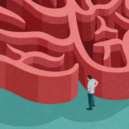 Illustration: Eine Person blickt durch ein Labyrinth in Form eines Gehirns.