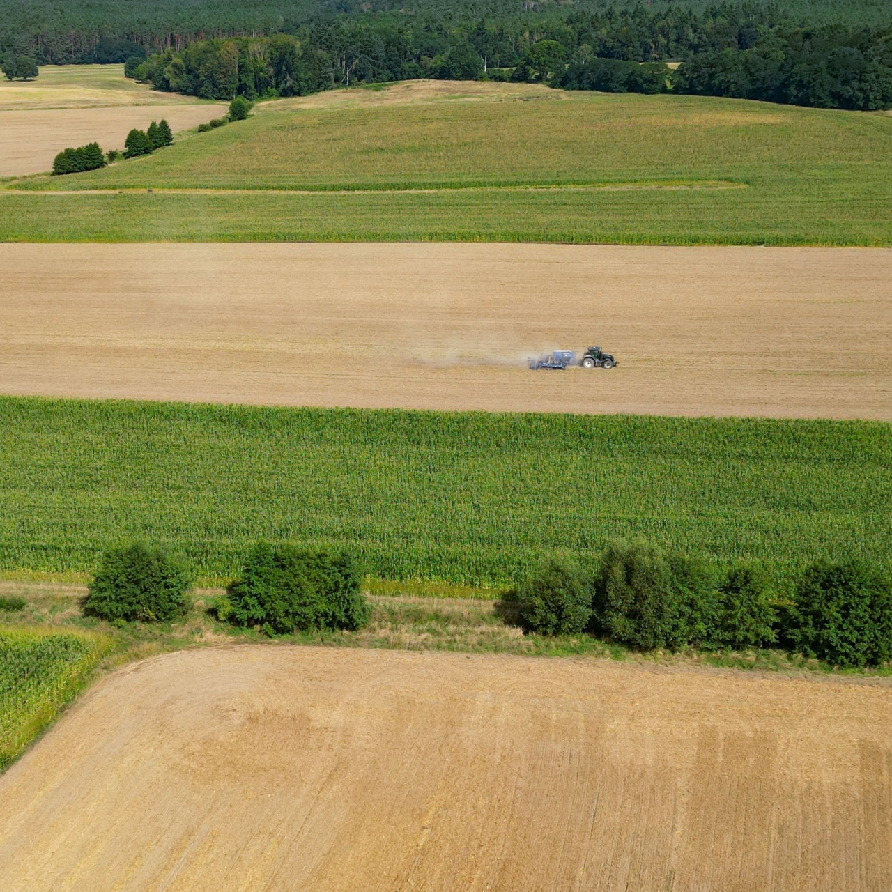 Die Reportage - Geschichten hinter den Nachrichten · Landwirtschaft