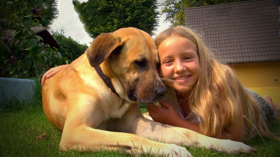 Liebste Fellnasen - Abenteuer Hundeschule (6)