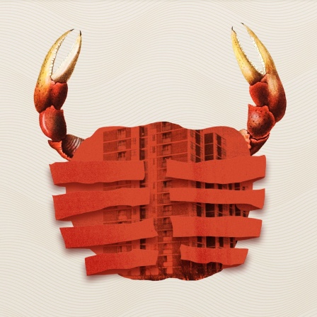 Illustration: Eine rote Krabbe, in ihrem Panzer spiegelt sich ein Hochhaus wider.
