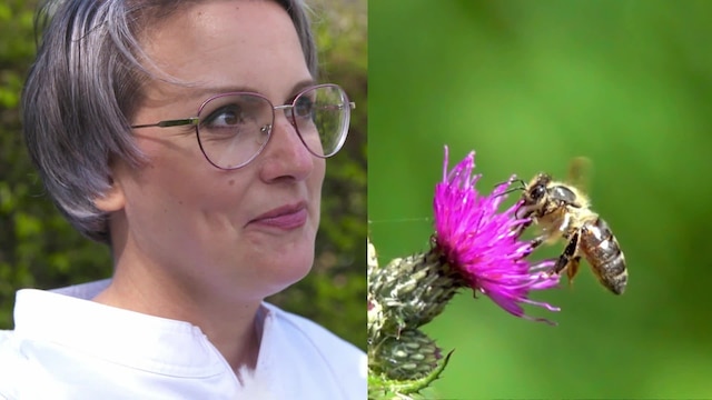Die Andersmacherin - Janine und ihre Bienen