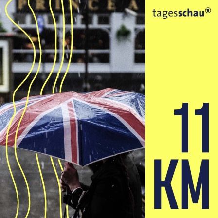Eine Person geht mit einem Regenschirm mit Motiv britischer Flagge durch ein regnerisches London. 