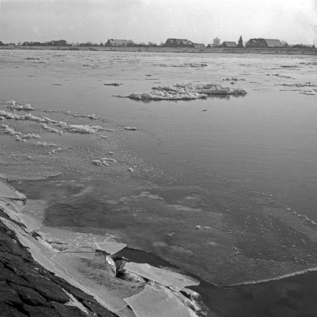 Eisgang auf der Elbe um Hamburg im Januar 1956 (Archivbild)