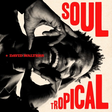 Cover: David Walters: "Soul Tropical"