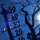 Thermometer und verdorrter Baum in Borkwalde, Brandenburg