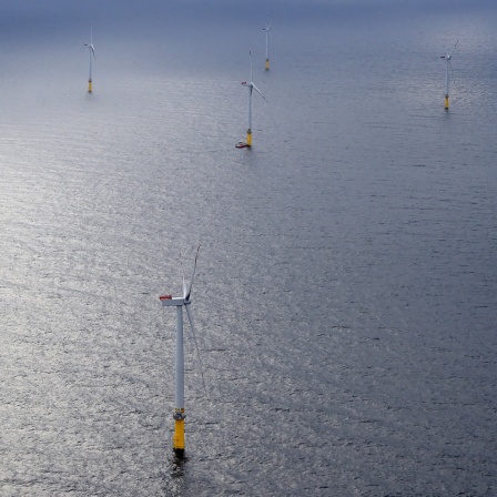 Windräder drehen sich im Offshore-Windpark Borkum Riffgrund 1 bei Borkum.